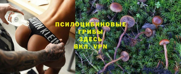 ГАЛЛЮЦИНОГЕННЫЕ ГРИБЫ Арсеньев