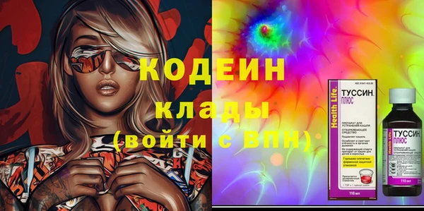 ГАЛЛЮЦИНОГЕННЫЕ ГРИБЫ Арсеньев