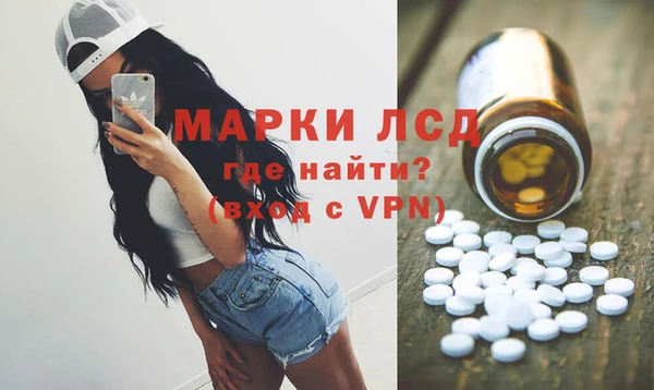 ГАЛЛЮЦИНОГЕННЫЕ ГРИБЫ Арсеньев